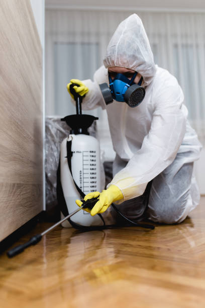 Best Pest Exclusion Services  in Rockton, IL